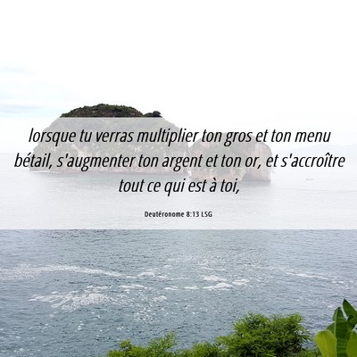 Picture 06 - Deutéronome 8:13 LSG - lorsque tu verras multiplier ton gros et ton menu - Bible Verse Picture