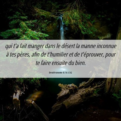 Picture 06 - Deutéronome 8:16 LSG - qui t'a fait manger dans le désert la manne - Bible Verse Picture