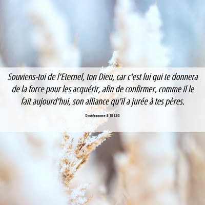 Picture 06 - Deutéronome 8:18 LSG - Souviens-toi de l'Eternel, ton Dieu, car c'est - Bible Verse Picture