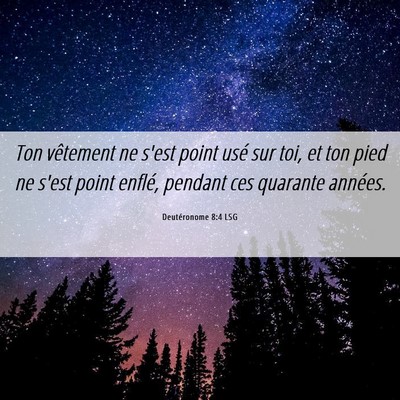Picture 06 - Deutéronome 8:4 LSG - Ton vêtement ne s'est point usé sur toi, et ton - Bible Verse Picture