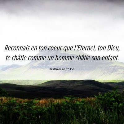 Picture 06 - Deutéronome 8:5 LSG - Reconnais en ton coeur que l'Eternel, ton Dieu, - Bible Verse Picture