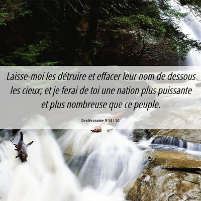 Picture 06 - Deutéronome 9:14 LSG - Laisse-moi les détruire et effacer leur nom de - Bible Verse Picture