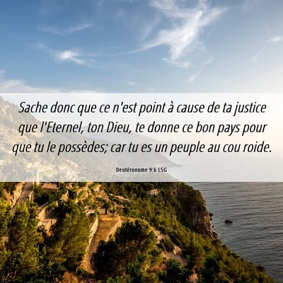 Picture 06 - Deutéronome 9:6 LSG - Sache donc que ce n'est point à cause de ta - Bible Verse Picture