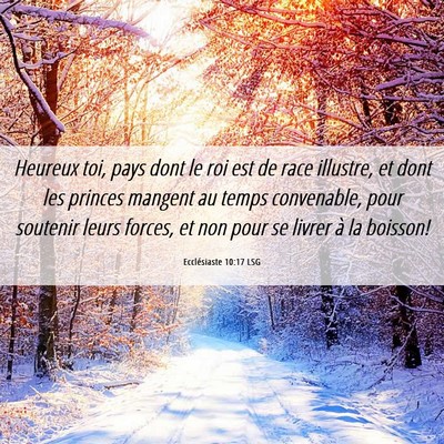 Picture 06 - Ecclésiaste 10:17 LSG - Heureux toi, pays dont le roi est de race - Bible Verse Picture