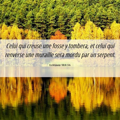 Picture 06 - Ecclésiaste 10:8 LSG - Celui qui creuse une fosse y tombera, et celui - Bible Verse Picture