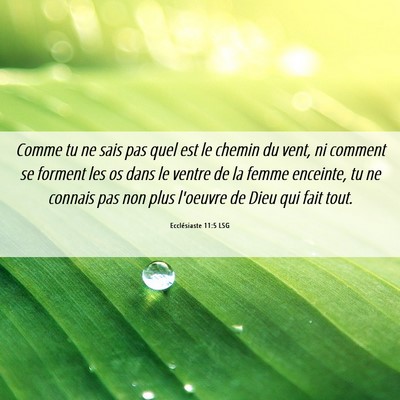 Picture 06 - Ecclésiaste 11:5 LSG - Comme tu ne sais pas quel est le chemin du vent, - Bible Verse Picture
