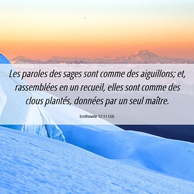 Picture 06 - Ecclésiaste 12:11 LSG - Les paroles des sages sont comme des aiguillons; - Bible Verse Picture