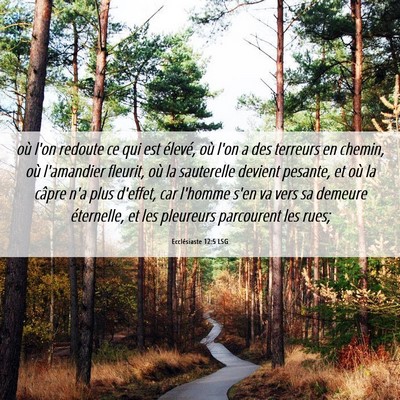 Picture 06 - Ecclésiaste 12:5 LSG - où l'on redoute ce qui est élevé, où l'on a - Bible Verse Picture