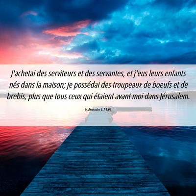 Picture 06 - Ecclésiaste 2:7 LSG - J'achetai des serviteurs et des servantes, et - Bible Verse Picture