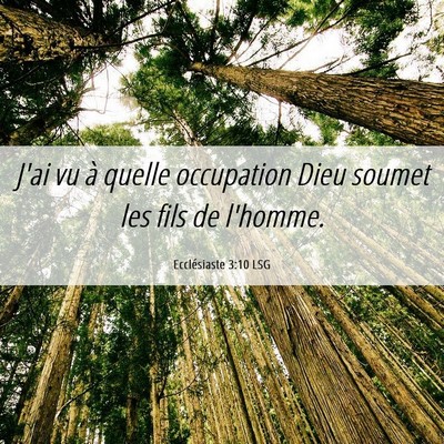 Picture 06 - Ecclésiaste 3:10 LSG - J'ai vu à quelle occupation Dieu soumet les fils - Bible Verse Picture