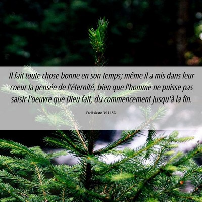 Picture 06 - Ecclésiaste 3:11 LSG - Il fait toute chose bonne en son temps; même il - Bible Verse Picture