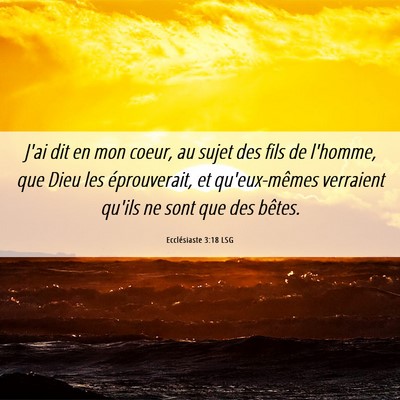 Picture 06 - Ecclésiaste 3:18 LSG - J'ai dit en mon coeur, au sujet des fils de - Bible Verse Picture