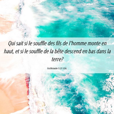 Picture 06 - Ecclésiaste 3:21 LSG - Qui sait si le souffle des fils de l'homme monte - Bible Verse Picture