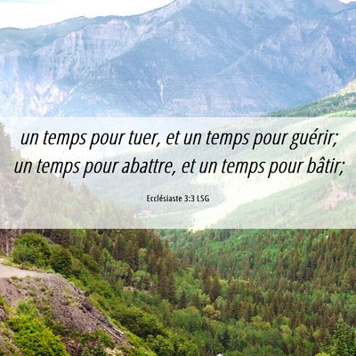 Picture 06 - Ecclésiaste 3:3 LSG - un temps pour tuer, et un temps pour guérir; un - Bible Verse Picture