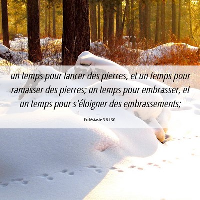 Picture 06 - Ecclésiaste 3:5 LSG - un temps pour lancer des pierres, et un temps - Bible Verse Picture