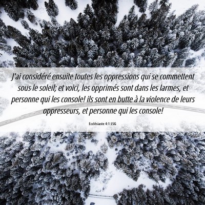 Picture 06 - Ecclésiaste 4:1 LSG - J'ai considéré ensuite toutes les oppressions - Bible Verse Picture