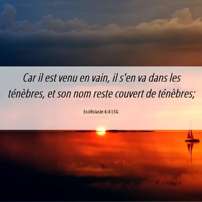 Picture 06 - Ecclésiaste 6:4 LSG - Car il est venu en vain, il s'en va dans les - Bible Verse Picture