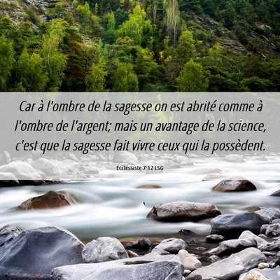 Picture 06 - Ecclésiaste 7:12 LSG - Car à l'ombre de la sagesse on est abrité comme - Bible Verse Picture