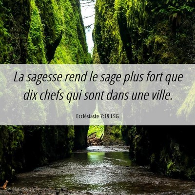 Picture 06 - Ecclésiaste 7:19 LSG - La sagesse rend le sage plus fort que dix chefs - Bible Verse Picture