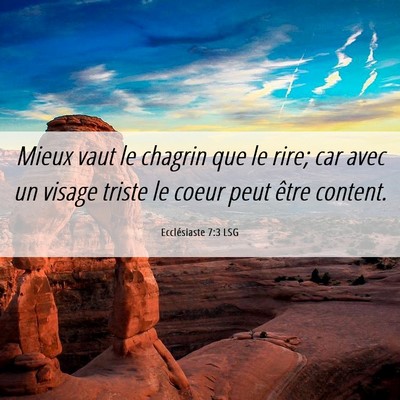 Picture 06 - Ecclésiaste 7:3 LSG - Mieux vaut le chagrin que le rire; car avec un - Bible Verse Picture