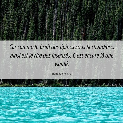 Picture 06 - Ecclésiaste 7:6 LSG - Car comme le bruit des épines sous la - Bible Verse Picture