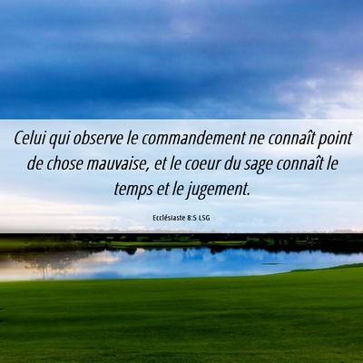 Picture 06 - Ecclésiaste 8:5 LSG - Celui qui observe le commandement ne connaît - Bible Verse Picture