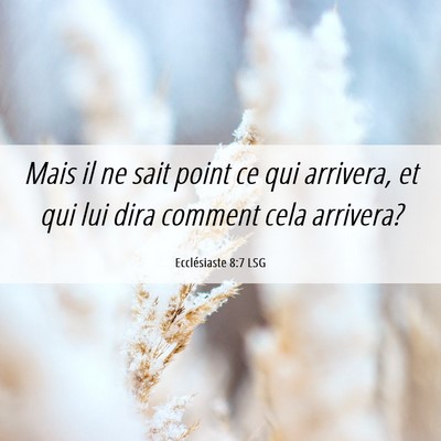 Picture 06 - Ecclésiaste 8:7 LSG - Mais il ne sait point ce qui arrivera, et qui lui - Bible Verse Picture