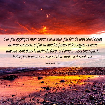 Picture 06 - Ecclésiaste 9:1 LSG - Oui, j'ai appliqué mon coeur à tout cela, j'ai - Bible Verse Picture