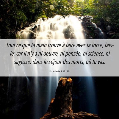Picture 06 - Ecclésiaste 9:10 LSG - Tout ce que ta main trouve à faire avec ta - Bible Verse Picture