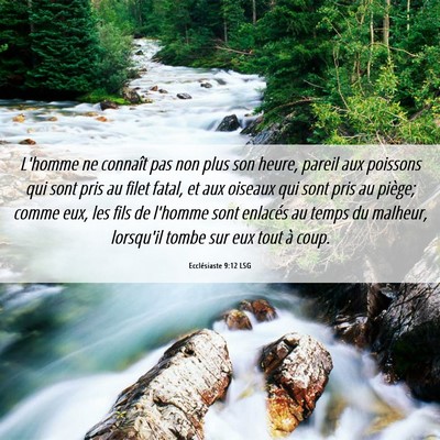 Picture 06 - Ecclésiaste 9:12 LSG - L'homme ne connaît pas non plus son heure, - Bible Verse Picture
