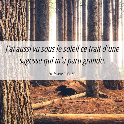 Picture 06 - Ecclésiaste 9:13 LSG - J'ai aussi vu sous le soleil ce trait d'une - Bible Verse Picture