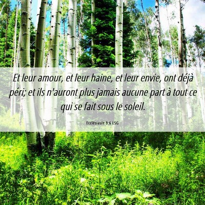 Picture 06 - Ecclésiaste 9:6 LSG - Et leur amour, et leur haine, et leur envie, ont - Bible Verse Picture