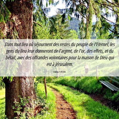 Picture 06 - Esdras 1:4 LSG - Dans tout lieu où séjournent des restes du - Bible Verse Picture