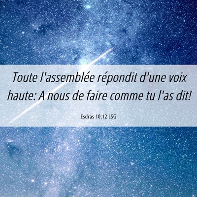 Picture 06 - Esdras 10:12 LSG - Toute l'assemblée répondit d'une voix haute: A - Bible Verse Picture