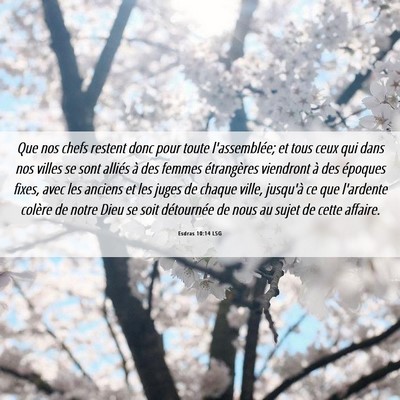Picture 06 - Esdras 10:14 LSG - Que nos chefs restent donc pour toute - Bible Verse Picture