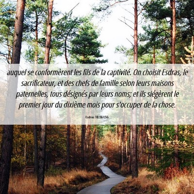 Picture 06 - Esdras 10:16 LSG - auquel se conformèrent les fils de la - Bible Verse Picture