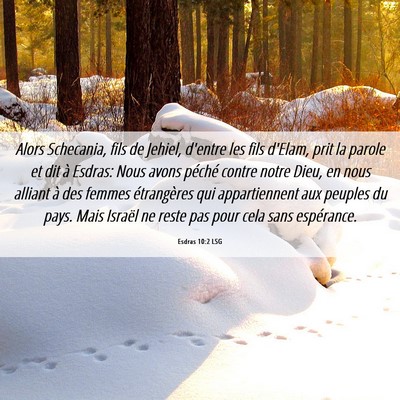 Picture 06 - Esdras 10:2 LSG - Alors Schecania, fils de Jehiel, d'entre les fils - Bible Verse Picture