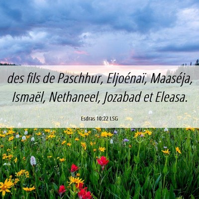 Picture 06 - Esdras 10:22 LSG - des fils de Paschhur, Eljoénaï, Maaséja, - Bible Verse Picture