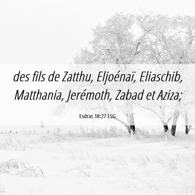Picture 06 - Esdras 10:27 LSG - des fils de Zatthu, Eljoénaï, Eliaschib, - Bible Verse Picture