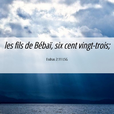 Picture 06 - Esdras 2:11 LSG - les fils de Bébaï, six cent - Bible Verse Picture