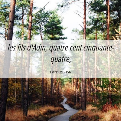 Picture 06 - Esdras 2:15 LSG - les fils d'Adin, quatre cent - Bible Verse Picture