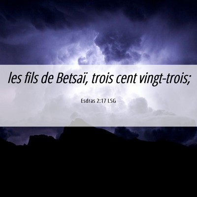 Picture 06 - Esdras 2:17 LSG - les fils de Betsaï, trois cent - Bible Verse Picture