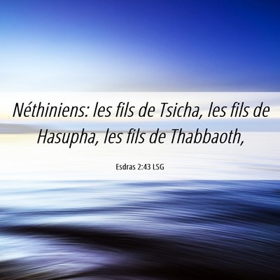Picture 06 - Esdras 2:43 LSG - Néthiniens: les fils de Tsicha, les fils de - Bible Verse Picture