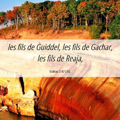 Picture 06 - Esdras 2:47 LSG - les fils de Guiddel, les fils de Gachar, les fils - Bible Verse Picture