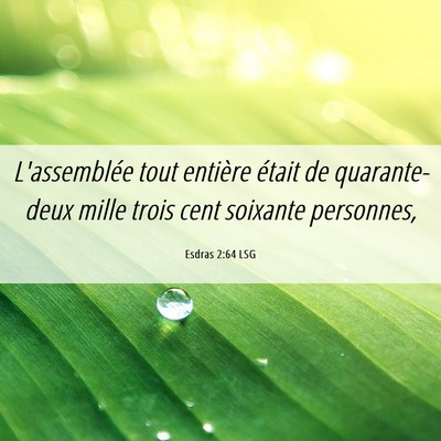 Picture 06 - Esdras 2:64 LSG - L'assemblée tout entière était de - Bible Verse Picture