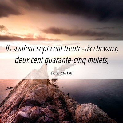 Picture 06 - Esdras 2:66 LSG - Ils avaient sept cent trente-six chevaux, deux - Bible Verse Picture