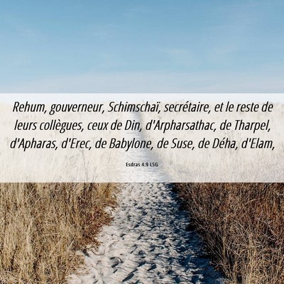 Picture 06 - Esdras 4:9 LSG - Rehum, gouverneur, Schimschaï, secrétaire, et - Bible Verse Picture