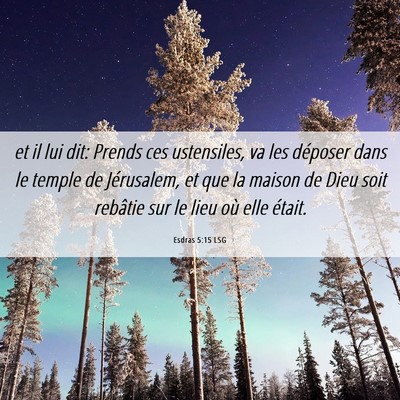 Picture 06 - Esdras 5:15 LSG - et il lui dit: Prends ces ustensiles, va les - Bible Verse Picture
