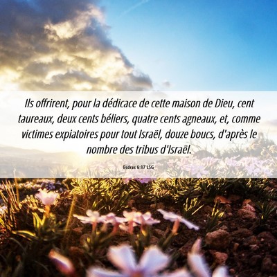 Picture 06 - Esdras 6:17 LSG - Ils offrirent, pour la dédicace de cette maison - Bible Verse Picture