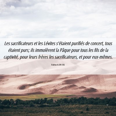 Picture 06 - Esdras 6:20 LSG - Les sacrificateurs et les Lévites s'étaient - Bible Verse Picture